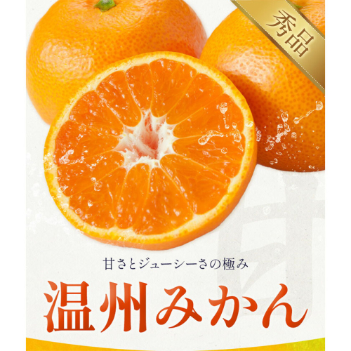 みかん 温州みかん 選べる 内容量 約3kg～約10kg 日本フルーツ株式会社 熊本県 長洲町 《11月上旬～12月上頃に出荷予定（土日祝除く）》 デコポン 果物 秀品 フルーツ スイーツ デザート ギフト ご贈答 2294544 - 熊本県長洲町