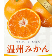 みかん 温州みかん 選べる 内容量 約3kg〜約10kg 日本フルーツ株式会社 熊本県 長洲町 [11月上旬〜12月上頃に出荷予定(土日祝除く)] デコポン 果物 秀品 フルーツ スイーツ デザート ギフト ご贈答