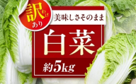 【先行予約】【12月上旬から順次配送】　や！サライ　訳あり白菜 約5kg（3玉から4玉） 愛媛県大洲市/農事組合法人やさらい [AGEK001]