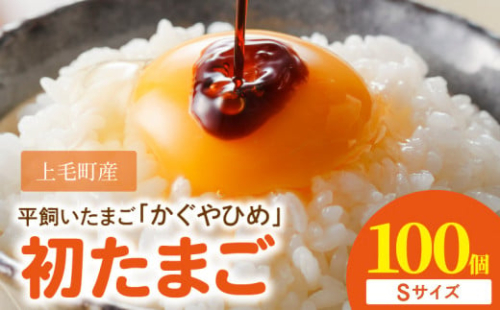 かぐやひめ「初たまご」100個 【福岡上毛町産】　C00901