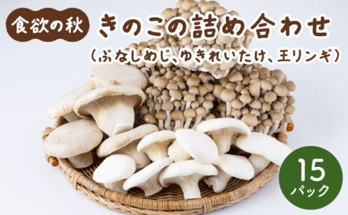 食欲の秋！きのこの詰め合わせ(ぶなしめじ・ゆきれいたけ・王リンギ各5パック)AT17 2294754 - 福岡県大木町