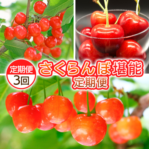 【定期便3回】さくらんぼ堪能定期便【令和8年産先行予約】FS25-062 2294755 - 山形県山形市