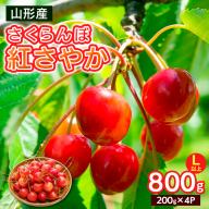 さくらんぼ 紅さやか Lサイズ以上 800g(200g×4パック)【令和8年産先行予約】FS25-063
