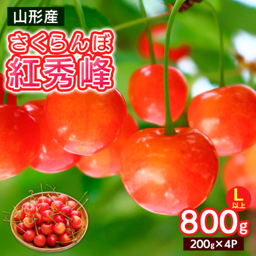 さくらんぼ Lサイズ以上 紅秀峰 800g(200g×4パック)【令和8年産先行予約】FS25-065 2294758 - 山形県山形市