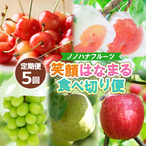 【定期便5回】ノノハナフルーツ 笑顔はなまる食べ切り便  FY25-328 2294761 - 山形県山形市