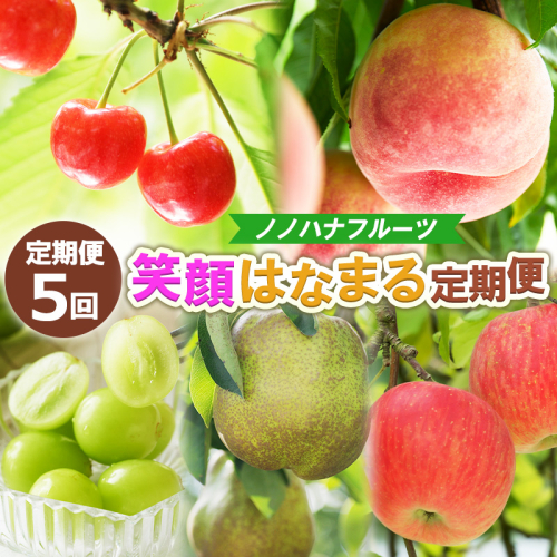 【定期便5回】ノノハナフルーツ 笑顔はなまる定期便 FY25-329 2294822 - 山形県山形市