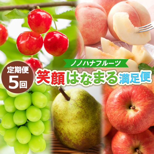 【定期便5回】ノノハナフルーツ 笑顔はなまる満足便 FY25-330 2294823 - 山形県山形市