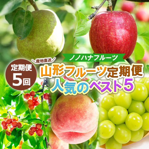 【定期便5回】産地直送 山形フルーツ定期便 人気のベスト5 FY25-331 2294824 - 山形県山形市