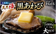 【先行予約】日本海若狭湾の 天然 活黒アワビ 計600g (2～3個) 大サイズ 【2025年11月中旬より順次発送予定】 鮮度抜群  刺身 お造り バター焼き BBQ 入手困難 あわび アワビ 鮑 クロアワビ 黒あわび [m17-g003_99]