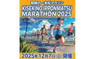【2025年12月7日(日)開催】 奇跡の一本松マラソン ハーフマラソン 一般の部参加権 1名様分 【 岩手県 陸前高田市 マラソン 出走 ランナー イベント 】 RT3051