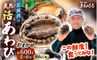 【先行予約】≪おまかせ≫ 日本海若狭湾の 天然 活アワビ 計600g 【2025年11月中旬より順次発送予定】 鮮度抜群  刺身 お造り バター焼き BBQ あわび 鮑[m17-d006_99]