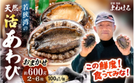 【先行予約】≪おまかせ≫ 日本海若狭湾の 天然 活アワビ 計600g 【2026年8月より順次発送予定】 鮮度抜群  刺身 お造り バター焼き BBQ あわび 鮑[m17-d006_08]