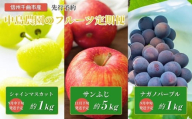 【2026年先行予約】フルーツ王国 信州 千曲 中島農園のフルーツ定期便（ナガノパープル、シャインマスカット、サンふじ）｜林檎 フルーツ 黒ぶどう 白ぶどう 葡萄 ブドウ 種無し 種なし 皮ごと 千曲市 長野県