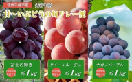 [2026年先行予約]皮ごと食べられる 信州育ち甘~いぶどうの旬リレー便(ナガノパープル、クイーンルージュ®、富士の輝き)|果物 フルーツ 黒ぶどう 赤ぶどう 葡萄 ブドウ 種無し 種なし 皮ごと 千曲市 長野県