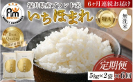 【令和7年産・新米】定期便6回 いちほまれ 無洗米 10kg×6回（60kg）／ 福井県産 ブランド米 ご飯 白米 新鮮 [aw064-o001]