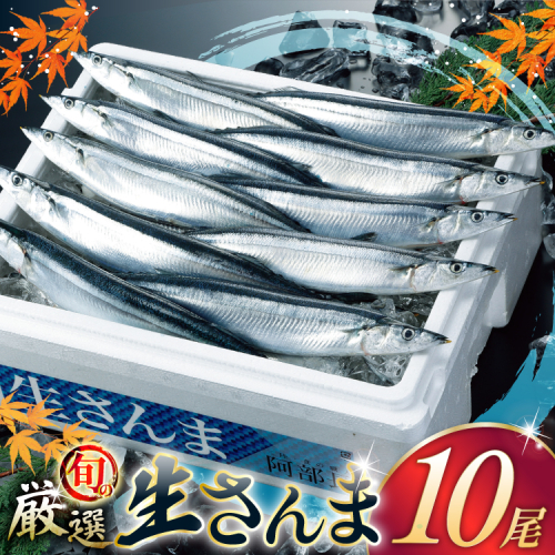 【期間限定発送】 生 さんま 10尾 [阿部長商店 宮城県 気仙沼市 20565760] 魚 サンマ 秋刀魚 生鮮 鮮魚 季節限定 2295817 - 宮城県気仙沼市