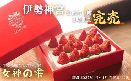 ＜先行予約＞【伊勢神宮おはらい町で3時間で完売】グルメ家が「今までで1番旨い」とうなったイチゴ【女神の雫】 2027年1月 2月 3月 4月 450g 岐阜県 美濃市 じゅん農産 2 苺 イチゴ いちご フルーツ 2296071 - 岐阜県美濃市