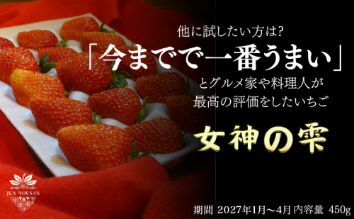 ＜先行予約＞「今までで1番うまい」とグルメ家がうなったイチゴ【女神の雫】 450g 2027年 1月 2月 3月 4月 450g 岐阜県 美濃市 じゅん農産 1 苺 イチゴ いちご フルーツ 甘い 旬 お取り寄せ 2296072 - 岐阜県美濃市