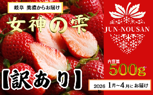 【訳あり】「今までで1番うまい」とグルメ家がうなったイチゴ【女神の雫】 2026年1月 2月 3月 4月 450g 岐阜県 美濃市 じゅん農産 訳アリ 苺 2296073 - 岐阜県美濃市