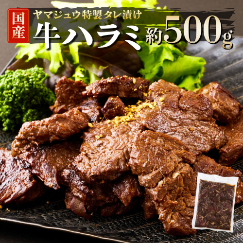ヤマジュウの特製タレ漬け！和牛ハラミ肉５００ｇ 2296219 - 高知県室戸市