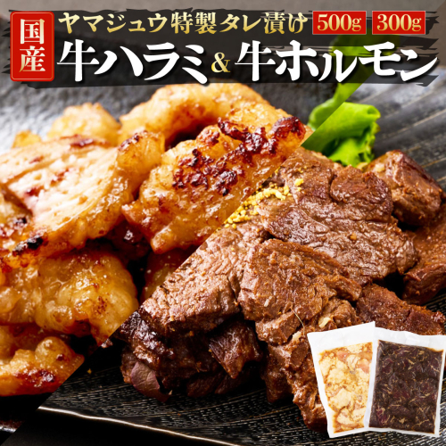 ヤマジュウの特選タレ漬け！和牛ハラミ肉５００g＆国産牛ホルモン３００ｇ 2296221 - 高知県室戸市