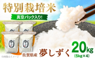【R7年度産】夢しずく（白米） 20kg 【白浜農産】 [IBL021]