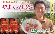 群馬県産いちごセット[やよいひめ2パック][2026年1月4日〜3月31日発送](各220g以上×2パック) いちご やよいひめ 群馬県産 オリジナル品種 苺 イチゴ セット 詰合せ 果物 フルーツ 食品 F21E-493