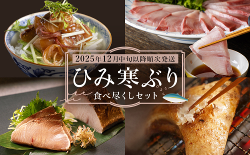 【先行予約】ひみ寒ぶり食べ尽くしセット【2025年12月中旬以降順次発送】 鰤 ブリ 詰め合わせ 冷凍 魚介 富山県 氷見市 2296558 - 富山県氷見市
