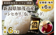 【令和7年産新米】【定期便6回毎月お届け】新潟産コシヒカリ「伝ゴールド」白米真空パック 精米 6kg（1.5kg×4）《9月下旬から順次出荷》 南麻布の高級料亭で提供される極上米 かやもり農園