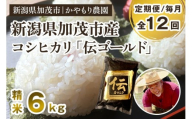 【令和7年産新米】【定期便12回毎月お届け】新潟産コシヒカリ「伝ゴールド」白米真空パック 精米 6kg（1.5kg×4）《9月下旬から順次出荷》 南麻布の高級料亭で提供される極上米 かやもり農園