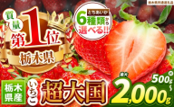 苺 とちあいか 3L以上ホール詰め [単品][先行予約] | 果物 くだもの フルーツ 野菜 やさい ヤサイ 苺 イチゴ いちご とちあいか 新鮮 甘い 数量 限定 美味しい 果物 共通返礼品 フルーツ デザート [栃木県共通返礼品] 栃木県 下野市 送料無料
