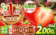 苺 とちあいか 3L以上ホール詰め [定期便2回][先行予約] | 果物 くだもの フルーツ 野菜 やさい ヤサイ 苺 イチゴ いちご とちあいか 新鮮 甘い 数量 限定 美味しい 果物 共通返礼品 フルーツ デザート [栃木県共通返礼品] 栃木県 下野市 送料無料