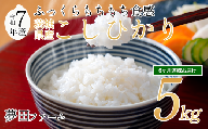 [6カ月定期便 令和7年産コシヒカリ5kg ] 夢田ファームのコシヒカリ定期便 [ 米 お米 ライス 白米 精米コシヒカリ 新米 5kg 5キロ 定期便 茨城県 つくば市 ]