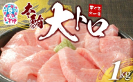 [年末配送12/24〜31着日]本マグロ大トロずっしり1kg 日時指定可能 解凍レシピ付 1サクずつ真空包装|本マグロ 大トロ & 中トロ ネギトロ づけ 中とろ 海鮮丼 や 手巻き寿し 発送時期が選べる 冷凍・指定日着可