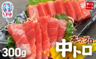 [年末配送12/24〜31着日]本マグロ中トロ300g 日時指定可能|解凍レシピ付 1サクずつ真空包装 脂の甘みと濃厚赤身が絶妙なバランス 発送時期が選べる 冷凍・指定日着可