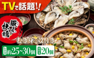 【3月27日（金）着】テレビで話題！【生牡蠣】【着日指定可能】身が引き締まったプリップリの むき身 500gと殻付き 20個セット 牡蠣 広島 かき カキ セット むき身 江田島市/有限会社寺本水産 [XAE007] 牡蠣 生食 むき身 殻付き 殻付 殻 かき カキ 生牡蠣 広島牡蠣 オイスター カキフライ 魚介類 魚介 貝類 海鮮 広島県産 国産 産地直送 贈答 ギフト 特産品