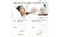 【熟睡設計】 創業100年のこだわり そば殻枕 枕 35cm×50cm ブラウン 日本製 オーガニック素材 硬め かため 肩こり 首こり 快眠 快適 通気性 寝具 ピロー 和風 天然素材 天然枕  展開 睡眠サポート 体圧分散 安心設計 首筋サポート 快適設計 人気枕 健康枕 姿勢改善 首 頭 腰 肩 調整 大阪府 松原市