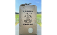 特別栽培米　丹波コシヒカリ　10㎏