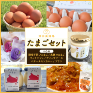 ＼薄羽養鶏場の濃厚たまごを使用／ たまごセット 濃厚たまご＆絶品加工品 6点セット｜栃木県 益子町 たまご 卵 タマゴ 平飼い 酵母平飼い 人気 濃厚 食べチョク カレー チキンカレー プリン とろたまぷりん フィナンシェ 焼き菓子 ディップソース (BC009)