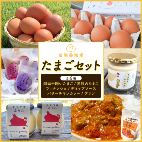 ＼薄羽養鶏場の濃厚たまごを使用／ たまごセット 濃厚たまご＆絶品加工品 6点セット｜栃木県 益子町 たまご 卵 タマゴ 平飼い 酵母平飼い 人気 濃厚 食べチョク カレー チキンカレー プリン とろたまぷりん フィナンシェ 焼き菓子 ディップソース (BC009) 2297024 - 栃木県益子町