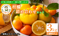 【2026年1月下旬順次発送】 柑橘 詰め合わせ5種以上 3kg しらぬい きよみ はるか 文旦 はっさく みかん レモン スイートレモネード  詰め合わせ  フルーツ 果物 お取り寄せ 人気 国産