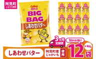 [3ヶ月定期便]カルビー ポテトチップ スしあわせバタ〜 BIGBAG 160g×12個|Calbee お菓子 菓子 おやつ おかし ぽてち ポテチ スナック おつまみ ジャガイモ じゃがいも(93-107)
