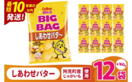 [10営業日以内に出荷]カルビー ポテトチップ スしあわせバタ〜 BIGBAG 160g×12個|Calbee お菓子 菓子 おやつ おかし ぽてち ポテチ スナック おつまみ ジャガイモ じゃがいも(93-106)