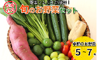 旬のエシカル野菜5～7種セット 野菜 おまかせ 新鮮 採れたて 産地直送 やさい とうもろこし トマト 減農薬 きのこ オクラ 玉ねぎ 美味しい 小松島市