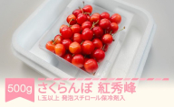 【先行予約】さくらんぼ 紅秀峰 2026年産 令和8年産 500g L玉以上 発泡スチロール保冷剤入  mo-bshax500