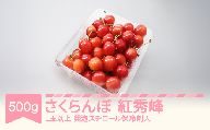[先行予約]さくらんぼ 紅秀峰 2026年産 令和8年産 500g L玉以上 発泡スチロール保冷剤入 mo-bshax500