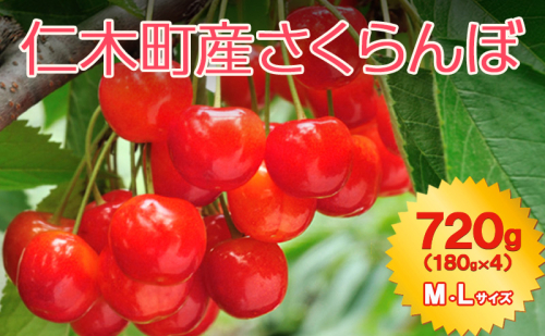 北海道 仁木町産  7月旬 さくらんぼ 720g （180g×4） Ｍ・Ｌサイズ サクランボ チェリー フルーツ 果物 果物類  仁木町 仁木 [JA新おたる] 2297502 - 北海道仁木町