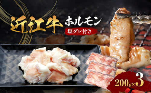 近江牛 ホルモン 塩だれ付き 200ｇ×３ (真空冷凍パック入り) 2297515 - 滋賀県甲良町
