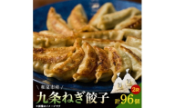 大阪府和泉市産の九条ネギを使用した冷凍餃子　48個入×2パック(計96個)　道の駅で大好評!【1182130】