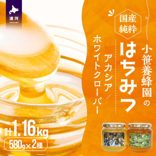 国産純粋完熟はちみつ大瓶セット(アカシア・ホワイトクローバー)580g×2本[16-1524] 2297564 - 北海道浦河町